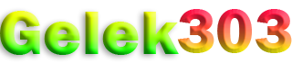 GELEK303